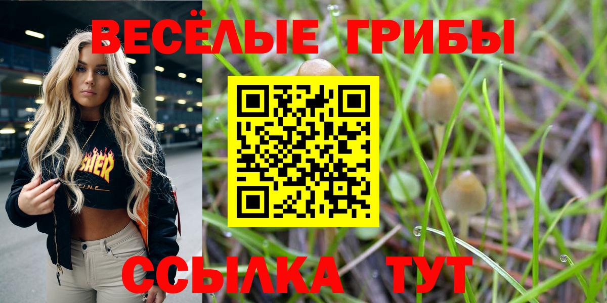 Галлюциногенные грибы мицелий Мирный
